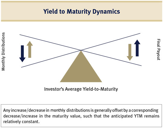 Yield to Maturiry Dynamics